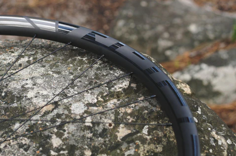 Lyne Pulse Carbon Rim 29
