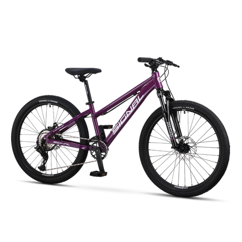 Signal Starlet 24" - 2026