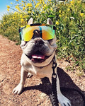 Pit Viper Originals - The Monster Bull Polarized