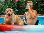 Pit Viper Originals - The Absolute Freedom Polarized