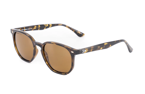 D'Arcs Lifestyle Glasses - Cali - Tortoise - Polarized