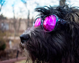 Pit Viper Exciters - The Smoke Show Polarized